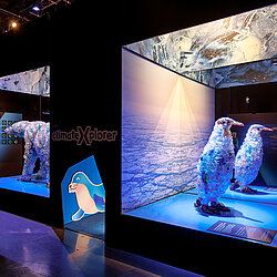 Photo_Polar_Experience_Lebensraum_Tier_Skulpturen_Credit_Christoph_Buckstegen.jpg