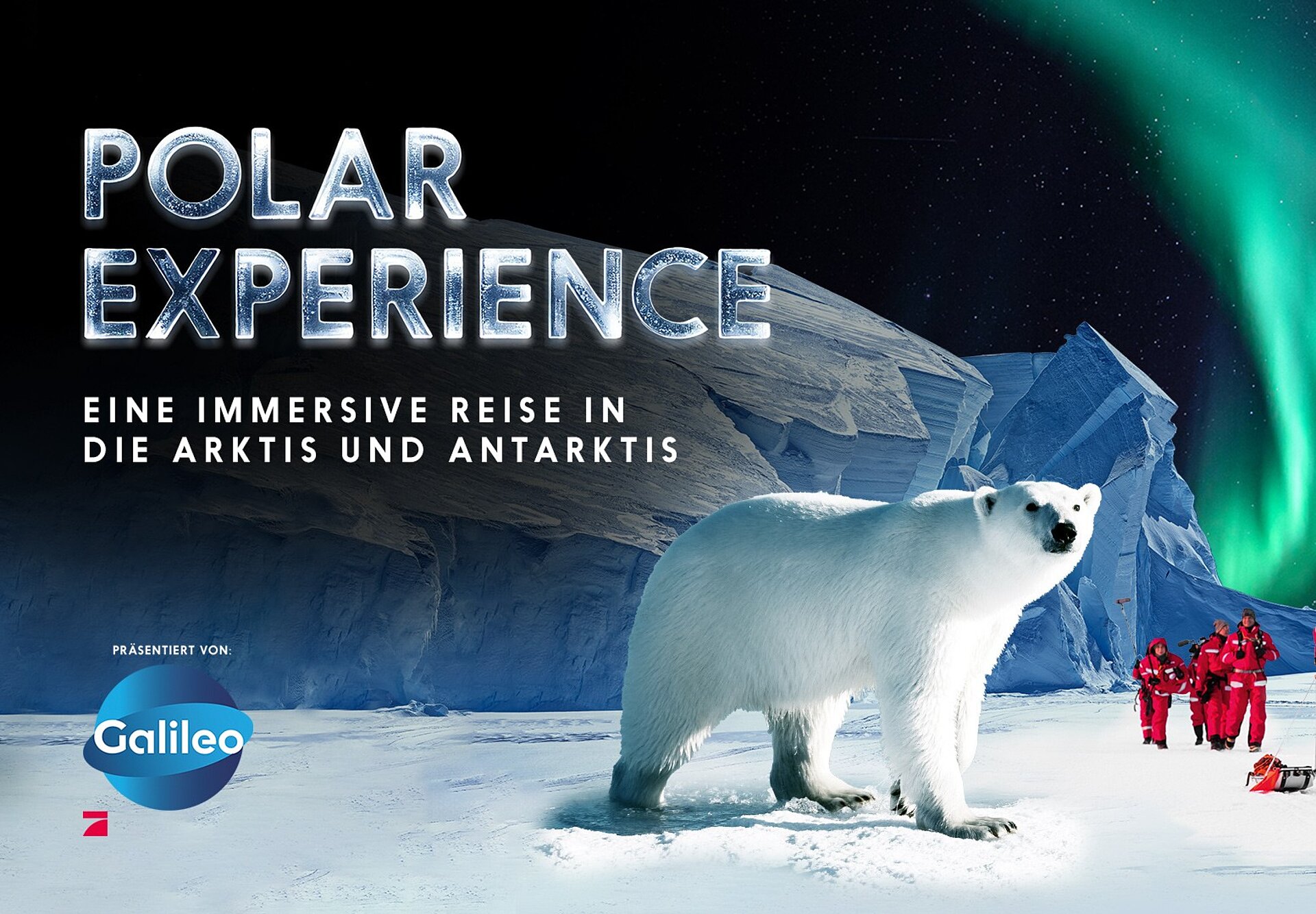 POLAR EXPERIENCE