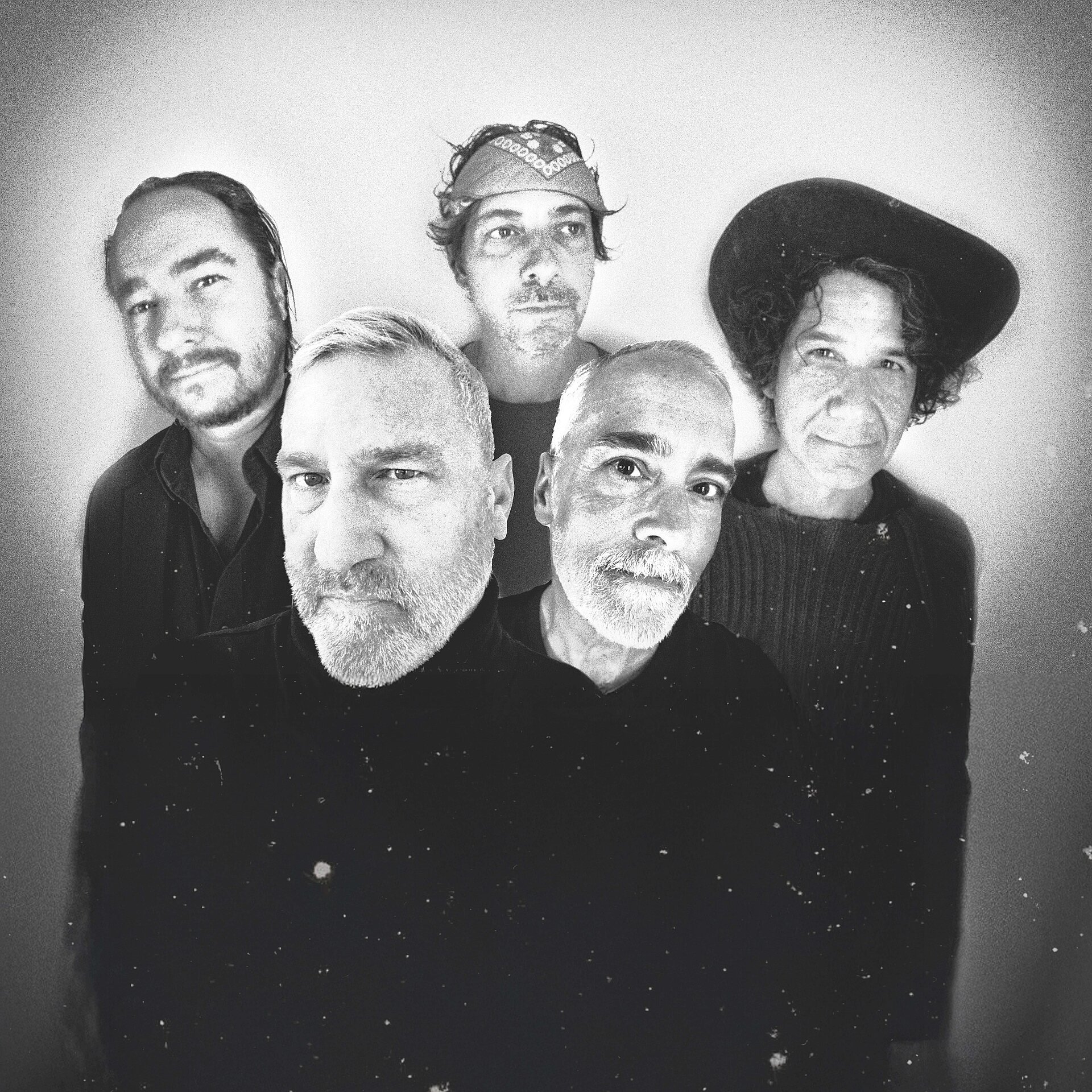 THE AFGHAN WHIGS