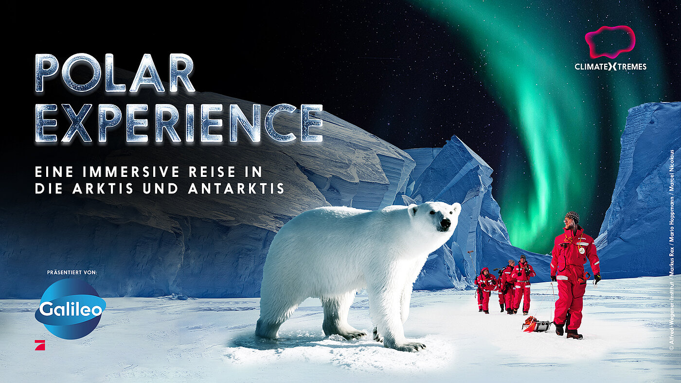 POLAR EXPERIENCE
