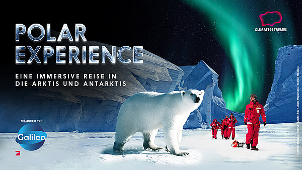 POLAR EXPERIENCE