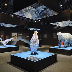 Photo_Polar_Experience_-_LebensraumTier_Credit_Christoph_Musiol.jpg