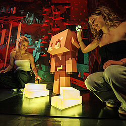 Photo_Minecraft_Experience_-_Villager_Rescue_Credit_Morris_Mac_Matzen__10_.JPG