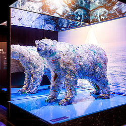 Photo_Polar_Experience_Lebensraum_Tier_Eisbaer_Credit_Christoph_Buckstegen.jpg
