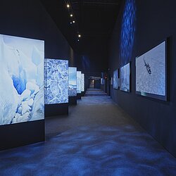 Photo_Polar_Experience_-_Faszination_Eis_Credit_Christoph_Musiol__2_.jpg