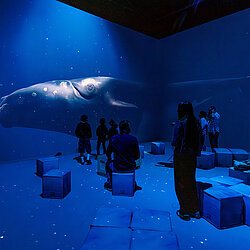 Photo_Polar_Experience_360__-Raum_Credit_Christoph_Buckstegen__4_.jpg